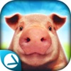 Pig Simulator 2015