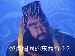 整点阳间人能看的东西是什么梗