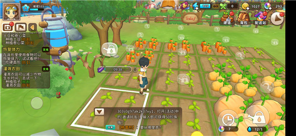 悠长假期怎么种巨大胡萝卜