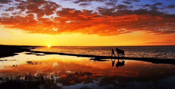 抖音我曾经等过你因为我也相信是什么歌