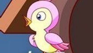 七夕布谷鸟表情包大全