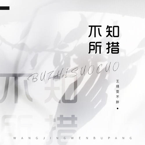 抖音别让我一个人疯掉最灿烂的烟火是什么歌