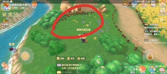 摩尔庄园手游黑影任务怎么做