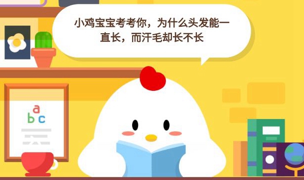 庄园小课堂为什么头发能一直长而汗毛却长不长