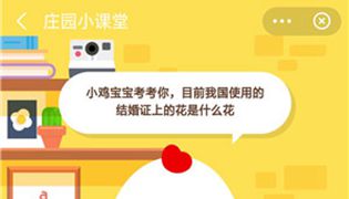 蚂蚁庄园结婚证上的花是什么花？