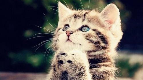 抖音对着电脑对着电脑是什么歌