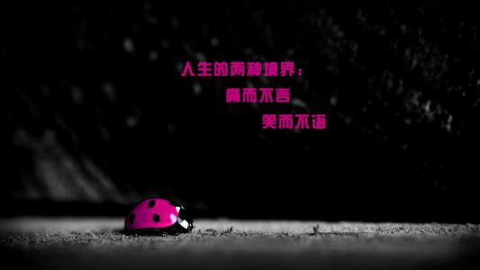 抖音恨他吧又每天在牵挂是什么歌