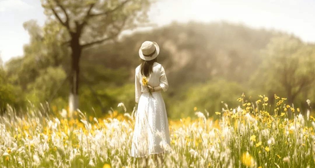 抖音半生江北如孤舟新人来故人走是什么歌