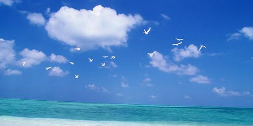 大海和月亮的故事是什么梗