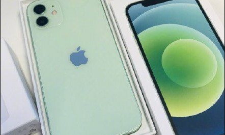 冬天的第一个苹果为什么是绿色的