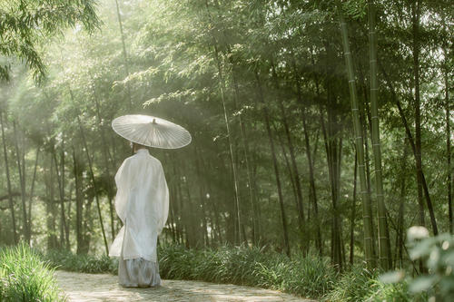 抖音我沉沦几回因你倾城的美是什么歌