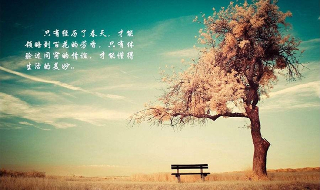 抖音那时的我们太年轻太自作聪明是什么歌