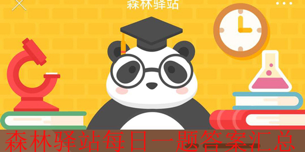 森林驿站大熊猫幼崽的体重大约只有妈妈体重的