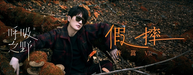 许嵩新歌第二首假摔歌词