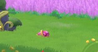 摩尔庄园手游红色浆果怎么获得？刷新位置在哪里？