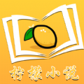 柠檬小说APP下载