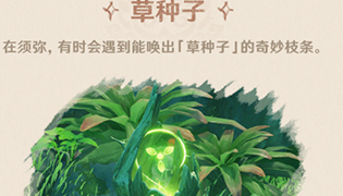 原神3.0草种子用途介绍