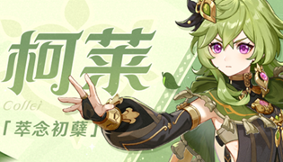 原神新角色柯莱角色介绍