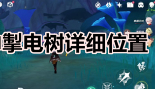 原神掣电树详细位置介绍