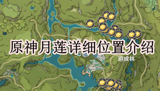 原神月莲详细位置介绍