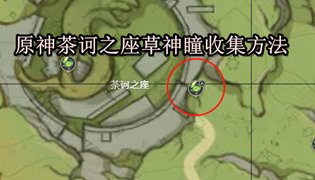 原神茶诃之座草神瞳收集方法