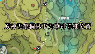 原神无郁稠林下方草神详细位置
