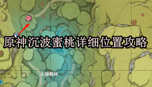 原神沉波蜜桃详细位置攻略