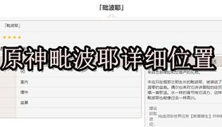 原神毗波耶详细位置