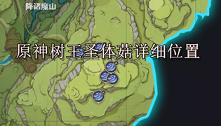 原神树王圣体菇详细位置