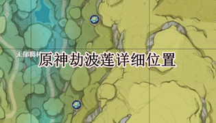 原神劫波莲详细位置