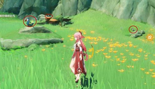 原神与珍稀之鸟的短暂邂逅任务完成攻略