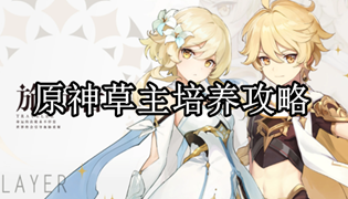 原神草主培养攻略