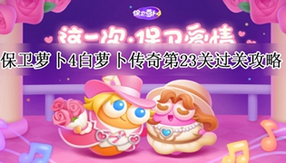 保卫萝卜4白萝卜传奇第23关通关攻略