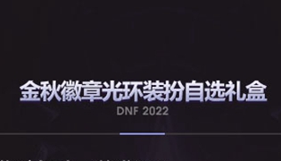 DNF2022金秋徽章光环装扮外观及属性一览